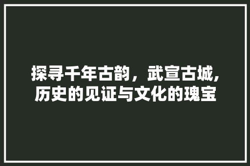 探寻千年古韵，武宣古城,历史的见证与文化的瑰宝