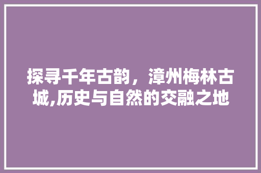 探寻千年古韵，漳州梅林古城,历史与自然的交融之地