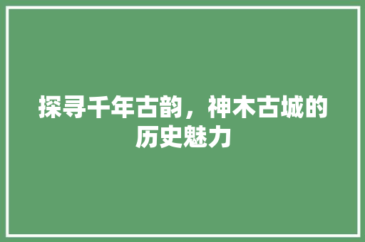 探寻千年古韵，神木古城的历史魅力