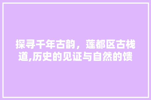 探寻千年古韵，莲都区古栈道,历史的见证与自然的馈赠