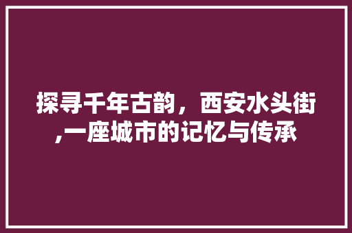 探寻千年古韵，西安水头街,一座城市的记忆与传承