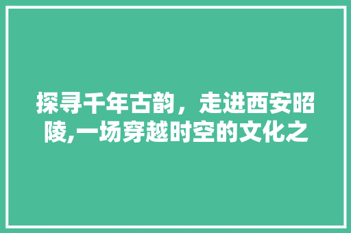 探寻千年古韵，走进西安昭陵,一场穿越时空的文化之旅