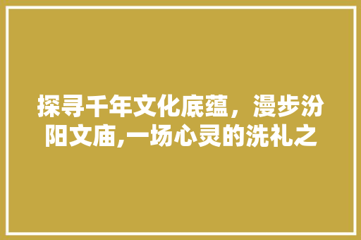 探寻千年文化底蕴，漫步汾阳文庙,一场心灵的洗礼之旅