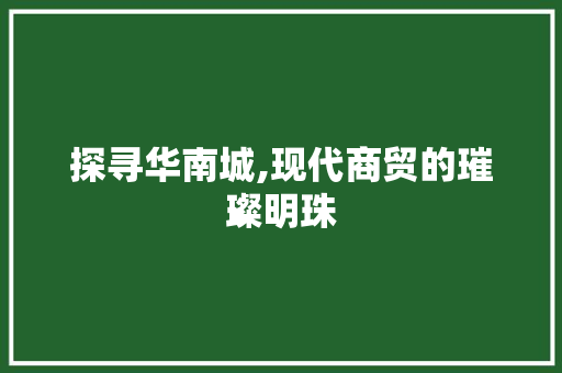 探寻华南城,现代商贸的璀璨明珠