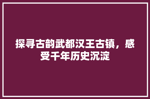 探寻古韵武都汉王古镇，感受千年历史沉淀