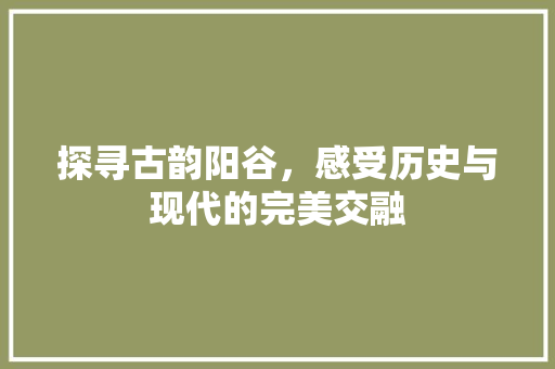 探寻古韵阳谷，感受历史与现代的完美交融