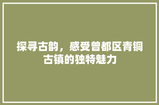 探寻古韵，感受曾都区青铜古镇的独特魅力