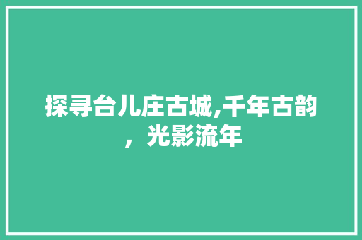 探寻台儿庄古城,千年古韵，光影流年