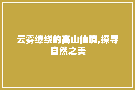 云雾缭绕的高山仙境,探寻自然之美