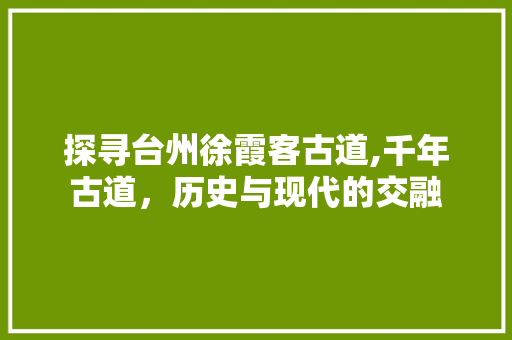 探寻台州徐霞客古道,千年古道，历史与现代的交融