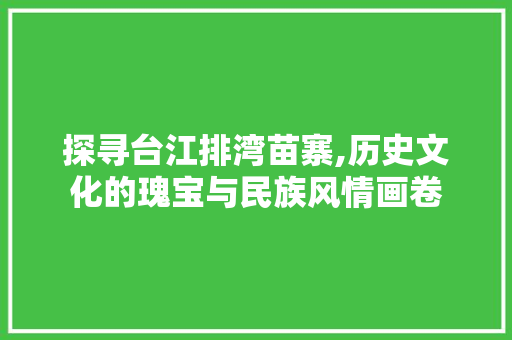 探寻台江排湾苗寨,历史文化的瑰宝与民族风情画卷