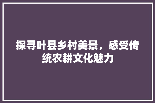 探寻叶县乡村美景，感受传统农耕文化魅力