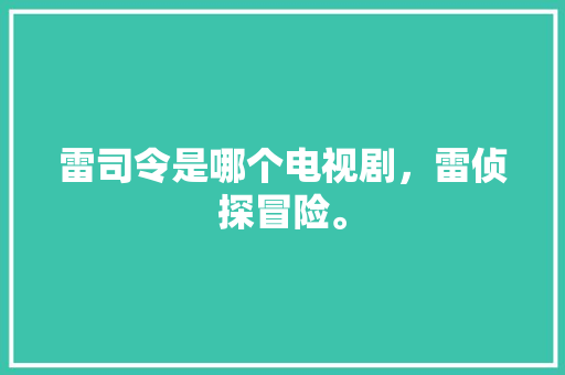 雷司令是哪个电视剧，雷侦探冒险。