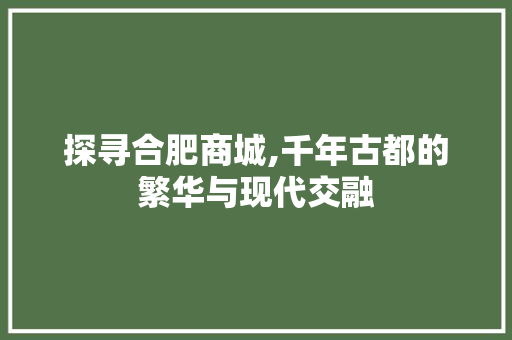 探寻合肥商城,千年古都的繁华与现代交融