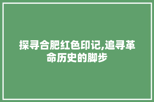 探寻合肥红色印记,追寻革命历史的脚步