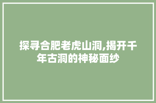 探寻合肥老虎山洞,揭开千年古洞的神秘面纱