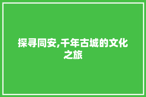 探寻同安,千年古城的文化之旅