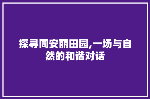 探寻同安丽田园,一场与自然的和谐对话