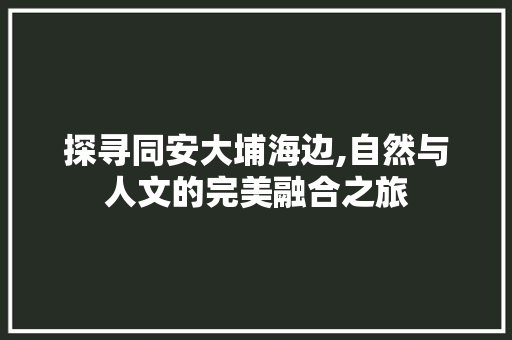 探寻同安大埔海边,自然与人文的完美融合之旅  第1张