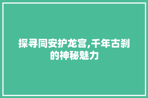 探寻同安护龙宫,千年古刹的神秘魅力