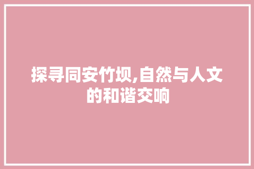 探寻同安竹坝,自然与人文的和谐交响