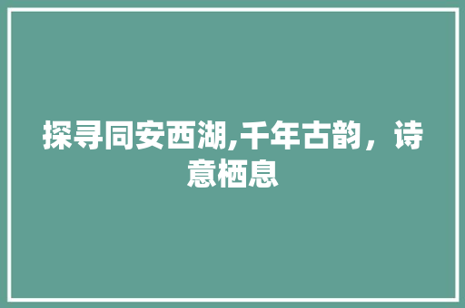 探寻同安西湖,千年古韵，诗意栖息