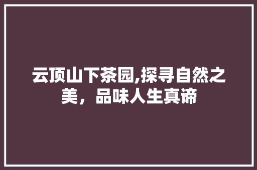 云顶山下茶园,探寻自然之美，品味人生真谛