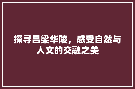 探寻吕梁华陵，感受自然与人文的交融之美