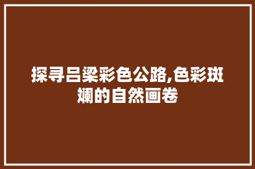 探寻吕梁彩色公路,色彩斑斓的自然画卷