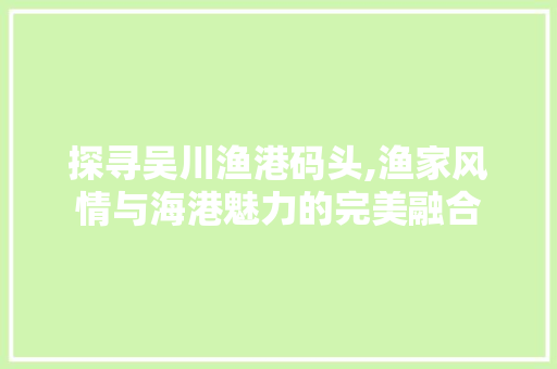 探寻吴川渔港码头,渔家风情与海港魅力的完美融合