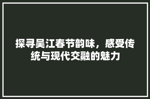 探寻吴江春节韵味，感受传统与现代交融的魅力