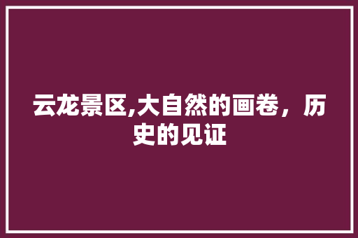 云龙景区,大自然的画卷，历史的见证