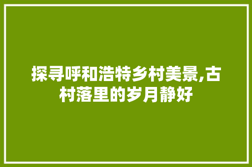 探寻呼和浩特乡村美景,古村落里的岁月静好