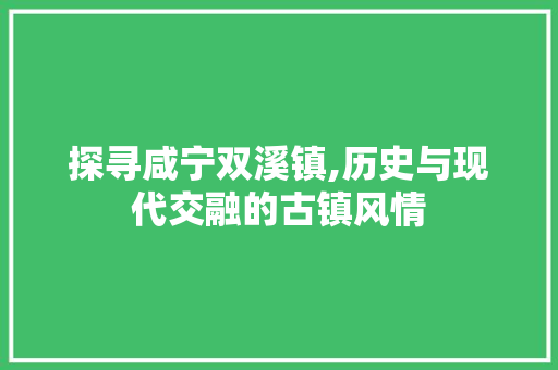 探寻咸宁双溪镇,历史与现代交融的古镇风情