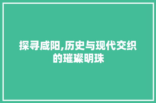 探寻咸阳,历史与现代交织的璀璨明珠