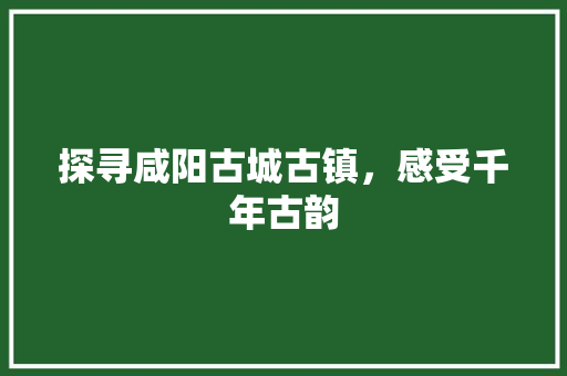 探寻咸阳古城古镇，感受千年古韵