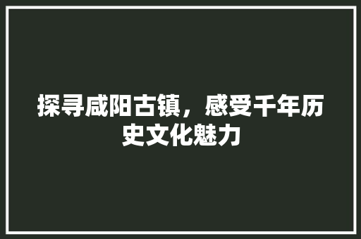 探寻咸阳古镇，感受千年历史文化魅力