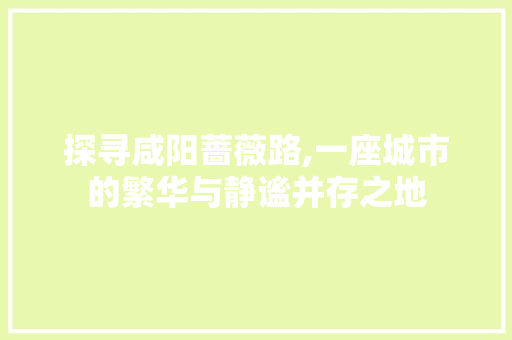 探寻咸阳蔷薇路,一座城市的繁华与静谧并存之地