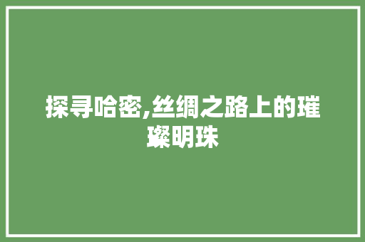 探寻哈密,丝绸之路上的璀璨明珠