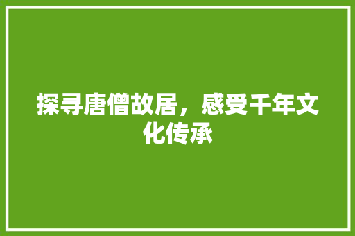 探寻唐僧故居，感受千年文化传承