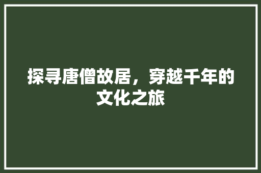 探寻唐僧故居，穿越千年的文化之旅