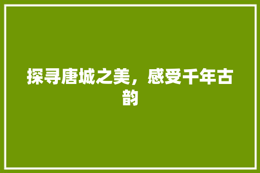 探寻唐城之美，感受千年古韵