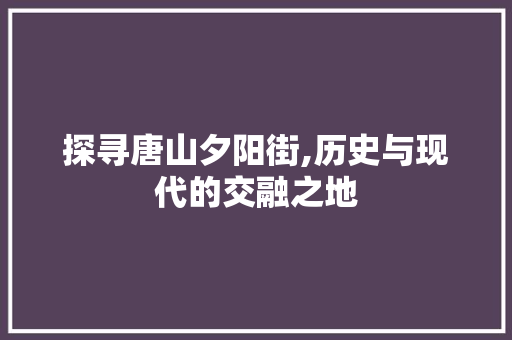 探寻唐山夕阳街,历史与现代的交融之地