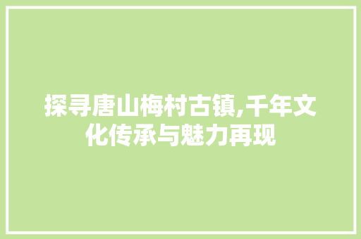 探寻唐山梅村古镇,千年文化传承与魅力再现