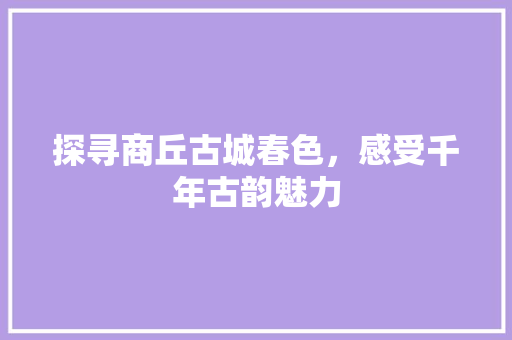 探寻商丘古城春色，感受千年古韵魅力