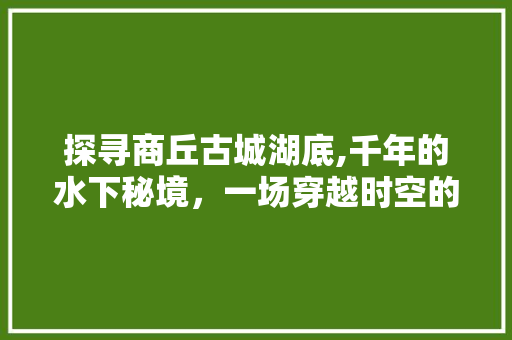 探寻商丘古城湖底,千年的水下秘境，一场穿越时空的视觉盛宴