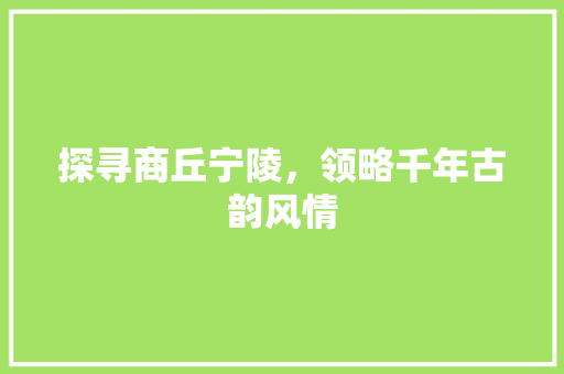 探寻商丘宁陵，领略千年古韵风情