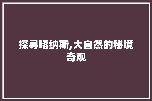 探寻喀纳斯,大自然的秘境奇观