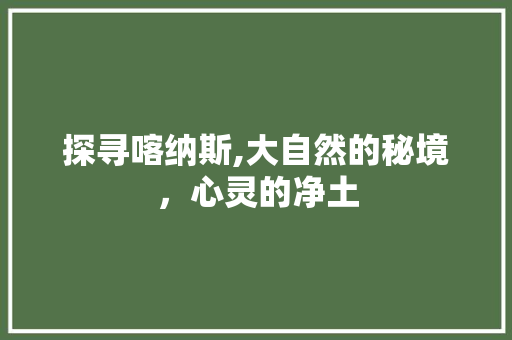 探寻喀纳斯,大自然的秘境，心灵的净土