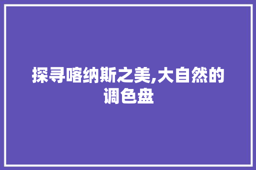 探寻喀纳斯之美,大自然的调色盘